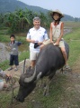 Danang Vietnam Area